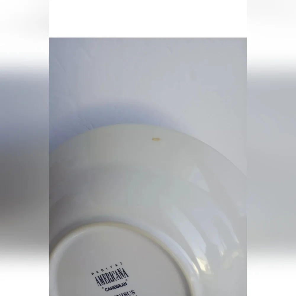 FITZ and FLOYD OMNIBUS CARIBBEAN RIMMED SOUP BOWLS  SET OF 2